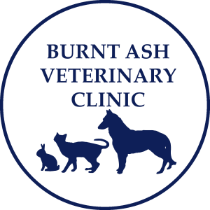 Burnt Ash Veterinary Clinic Ltd logo